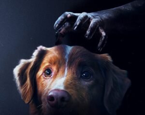 «Good Boy»: Ναι, ο σκύλος σας βλέπει φαντάσματα